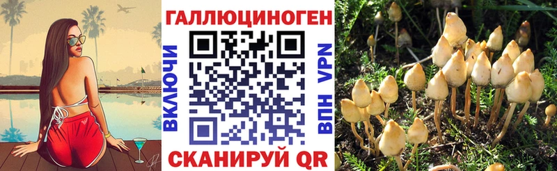 Галлюциногенные грибы мицелий  Рассказово 